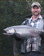 Chinook King Salmon Lachs Hardy Ecke 