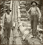 Logger historic picture